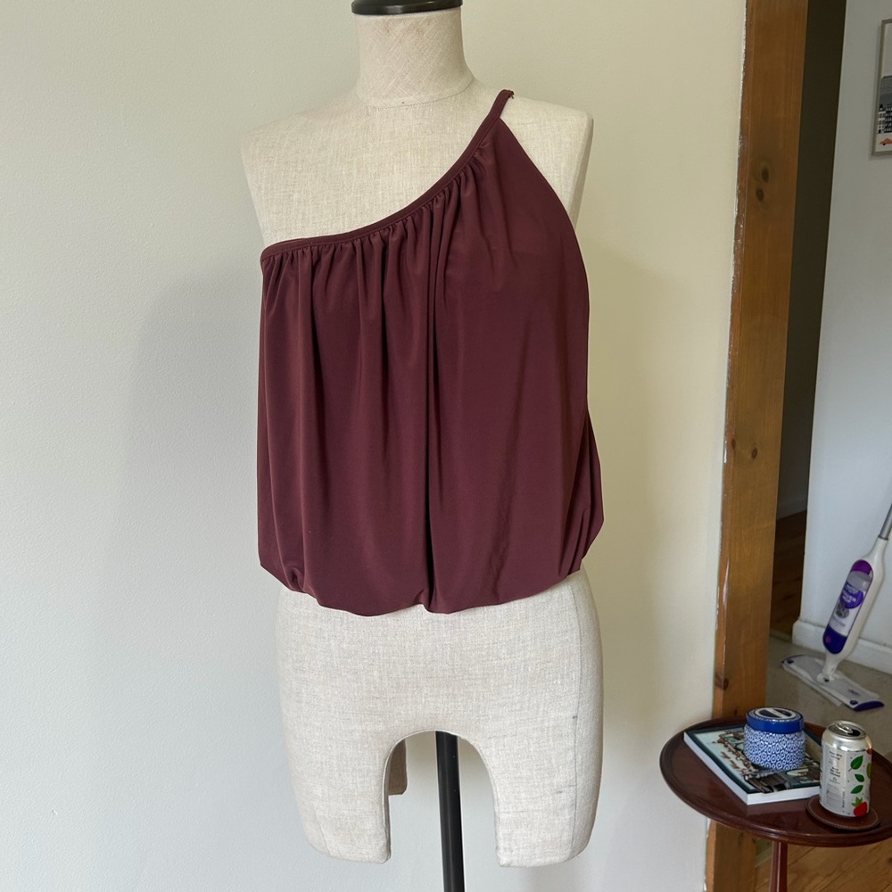 Express One-Shoulder Plum Blouse